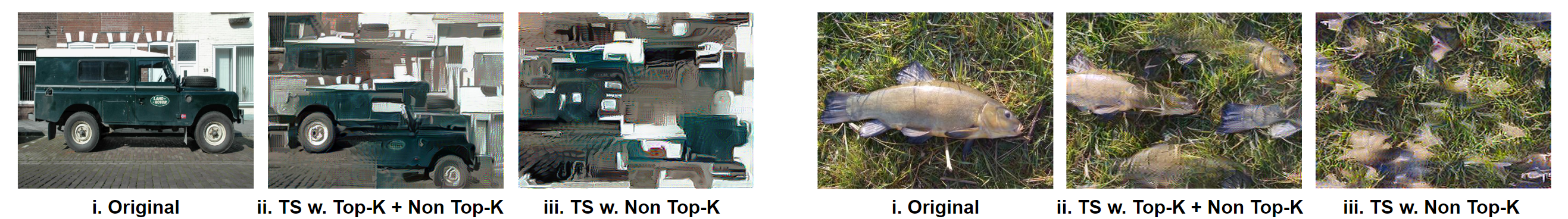 Interpolate start reference image.